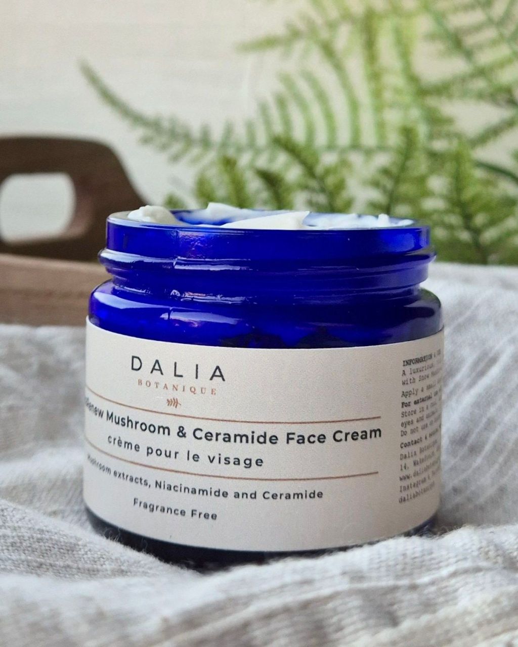 Transform Dry Skin with HydraRenew Mushroom & Ceramide Face Cream from Dalia&nbsp;Botanique